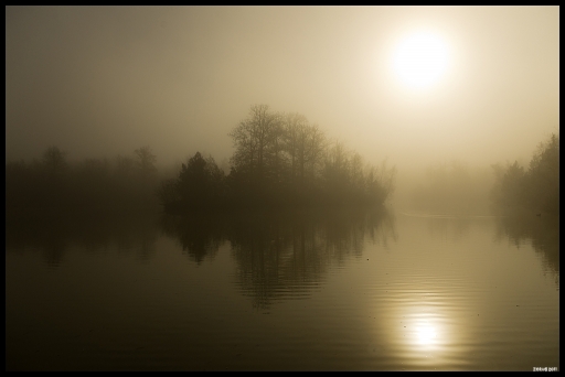 Novembre 2011 - Zorus
Novembre 2011 - Zorus
