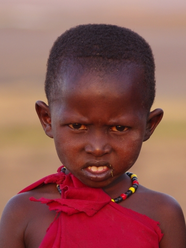 Janvier 2011 - DS29
Janvier 2011 - DS29
