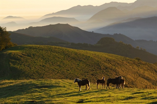 Décembre 2011 - jlf
Decembre 2011 - jlf
