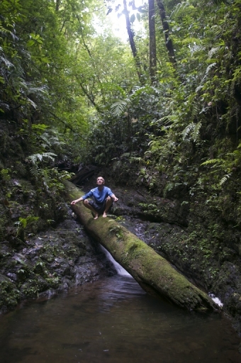 Décembre 2011 - azureus
Decembre 2011 - azureus
