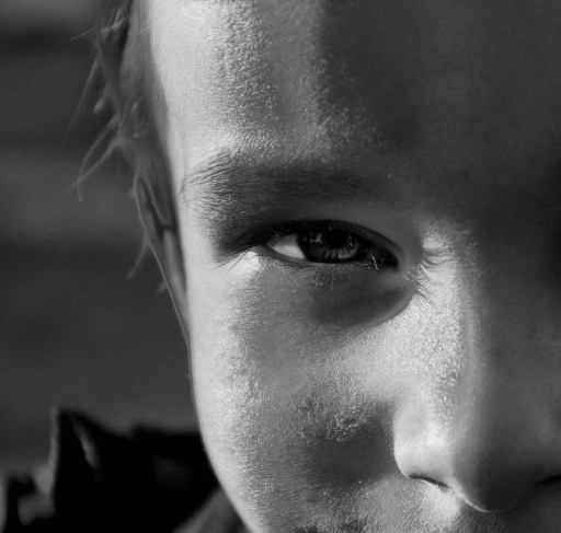 Février 2011 - geraldlislesurtarn
Fevrier 2011 - geraldlislesurtarn
