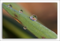 Nom du fichier=090106082442952299.jpg
Taille du fichier=145Ko
Dimensions : 800x555
Ajouté le : 06 Janvier 2009 090106082442952299.jpg