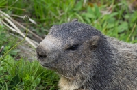 Nom du fichier=11060709363685877.jpg
Taille du fichier=265Ko
Dimensions : 1024x678
Ajouté le : 07 Juin 2011 11060709363685877.jpg