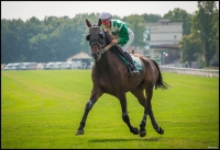 Nom du fichier=14090812151932031.jpg
Taille du fichier=292Ko
Dimensions : 995x684
Ajouté le : 08 Septembre 2014 14090812151932031.jpg