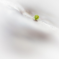 Nom du fichier=181230044049528622.jpg
Taille du fichier=213Ko
Dimensions : 900x900
Ajouté le : 30 Décembre 2018 181230044049528622.jpg