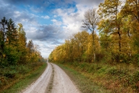 Nom du fichier=201025015152790667.jpg
Taille du fichier=437Ko
Dimensions : 1200x798
Ajouté le : 25 Octobre 2020 201025015152790667.jpg