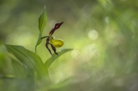 Nom du fichier=22052207120224958917902179.jpg
Taille du fichier=289Ko
Dimensions : 1200x801
Ajouté le : 22 Mai 2022 22052207120224958917902179.jpg