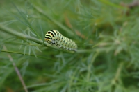 Nom du fichier=22070308230314510417942235.jpg
Taille du fichier=366Ko
Dimensions : 1200x800
Ajouté le : 03 Juillet 2022 22070308230314510417942235.jpg