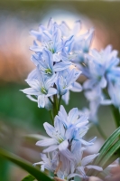 Nom du fichier=51938095435_2683233130_o.jpg
Taille du fichier=389Ko
Dimensions : 682x1024
Ajouté le : 14 Mars 2022 51938095435_2683233130_o.jpg