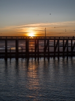 Nom du fichier=5RCQIb-IMGP4397.jpg
Taille du fichier=490Ko
Dimensions : 765x1024
Ajouté le : 21 Juin 2020 5RCQIb-IMGP4397.jpg