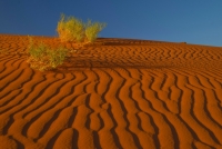 Nom du fichier=674108IMGP05213.jpg
Taille du fichier=189Ko
Dimensions : 1024x691
Ajouté le : 26 Août 2015 674108IMGP05213.jpg