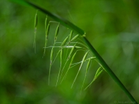 Nom du fichier=VeOaQb--IGP5081.jpg
Taille du fichier=377Ko
Dimensions : 1200x900
Ajouté le : 21 Mai 2023 VeOaQb--IGP5081.jpg