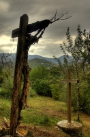 Nom du fichier=i813743_IMGP277201OP2.jpg
Taille du fichier=192Ko
Dimensions : 528x800
Ajouté le : 06 Octobre 2009 i813743_IMGP277201OP2.jpg