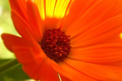 2008-04-29/rber44
par: rber44
