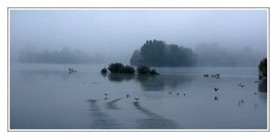 2008-10-05/ Rber44
par: Rber44 -[Paysages]-
