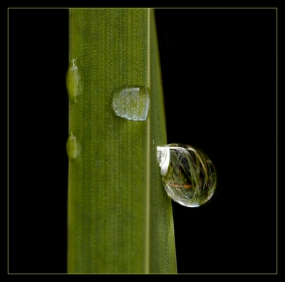 2009-10-27/Nana63
par: Nana63 -[Gouttes]-
