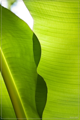 2009-11-15/Toutenk10
par: Toutenk10 -[Graphismes]-
