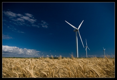 2008-07-16 / Insane
par: Insane -[Eoliennes / Moulins]-
