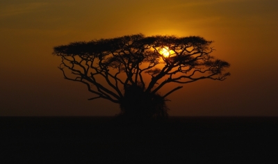 2008-11-11/ greuh
par: greuh -[Coucher / Lever de soleil]-
