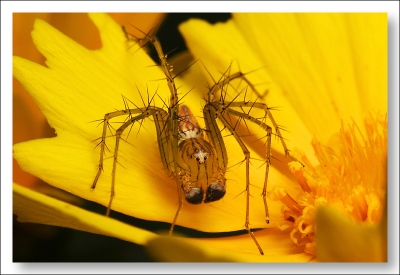 2008-06-30/ Yukumizu
par: Yukumizu -[Macro]-
