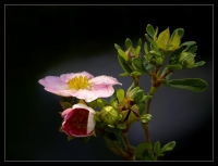 Nom du fichier=3665340574_4f2e559e98_o.jpg
Taille du fichier=193Ko
Dimensions : 794x609
Ajouté le : 27 Juin 2009 3665340574_4f2e559e98_o.jpg