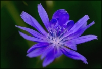 Nom du fichier=igp0935.jpg
Taille du fichier=163Ko
Dimensions : 780x532
Ajouté le : 02 Mai 2009 igp0935.jpg