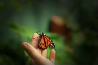 Nom du fichier=pentaxnob00623.jpg
Taille du fichier=154Ko
Dimensions : 798x536
Ajouté le : 01 Août 2009 pentaxnob00623.jpg