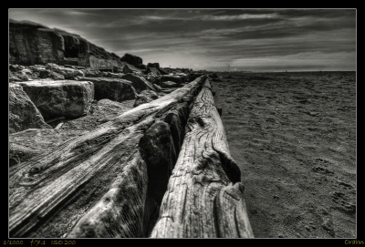 2009-07-24 / orahn59
Par orahn59 dans [vos series] [Weekend à  Zuydcoote]
