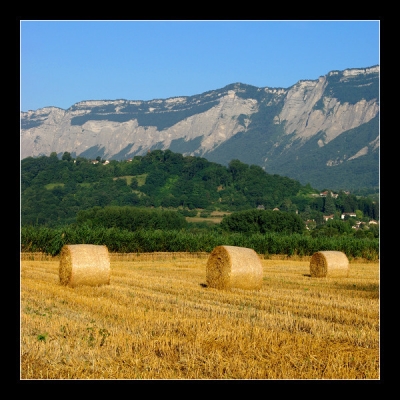 2008-08-01 / damien.grenoble
Par damien.grenoble [Paysages]

