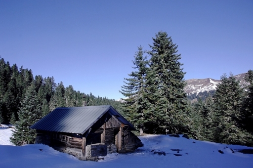 2010-12-17 / pinsanstaxe 
Par pinsanstaxe dans [ Paysages ]
