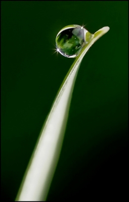 2008-11-09 / Pixel
par Pixel  [Gouttes]
