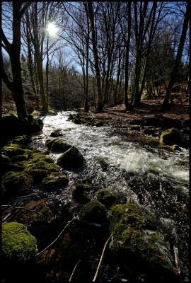 2009-01-30 / eldoctor.Sylvain
Par eldoctor.Sylvain dans [Plans d'eau / Rivieres]
