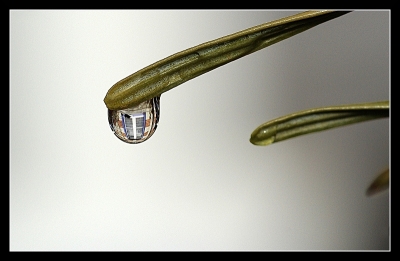 2010-01-29 / skripink
Par skripink dans [Gouttes]
