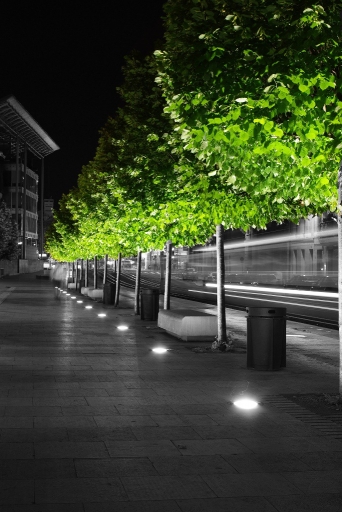 2011-10-16 /  bacchus
Par : bacchus [ Noir et Blanc, Sepia et desaturation partielle ]
