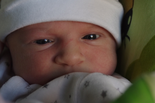 2012-03-31 / rastalaly
Par : rastalaly [ Portraits de bebes et enfants ]
