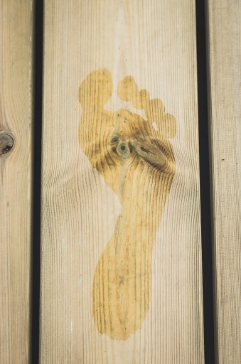 2014-07-30 / Phil22140
Phil22140 [ Studio & inclassables ]
