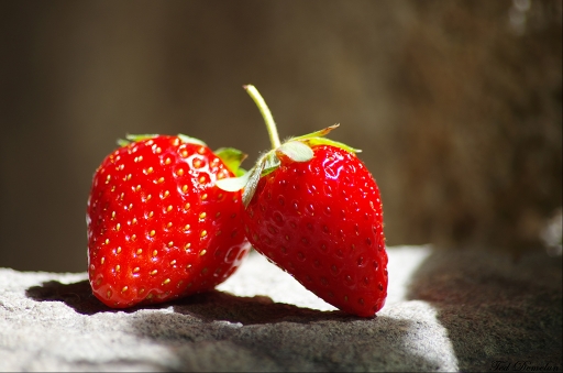 2014-01-29 / Ted01
 Ted01 [ Nature morte ]
