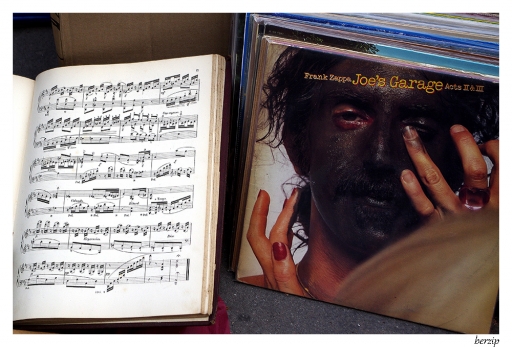 2013-12-13 par Berzip   
Par Berzip [ Surprenant / Amusant ]
