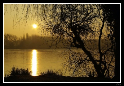 2009-01-03/ vito80 [ Coucher / Lever de soleil ]
Par : vito80 
