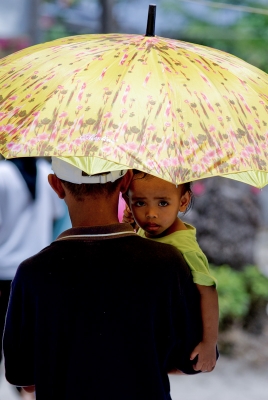2010-04-24 Par Zebulon67
Par Zebulon67 :   [ Portraits de bebes et enfants ] 
