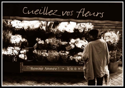 2009-01-17 / Yoyo5485
Par : Yoyo5485  [ Noir et Blanc, Sepia et désaturation partielle ]
