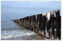 Nom du fichier=IMGP4712_PE9-2W.jpg
Taille du fichier=253Ko
Dimensions : 1000x672
Ajouté le : 28 Octobre 2011 IMGP4712_PE9-2W.jpg