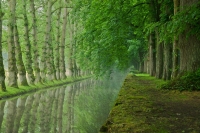 Nom du fichier=igp1071chenonceau.jpg
Taille du fichier=195Ko
Dimensions : 800x535
Ajouté le : 22 Mai 2009 igp1071chenonceau.jpg