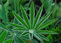 Nom du fichier=imgp0812.jpg
Taille du fichier=193Ko
Dimensions : 780x544
Ajouté le : 15 Mai 2009 imgp0812.jpg