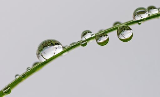 Octobre 2012 - dedales
Octobre 2012 - dedales
