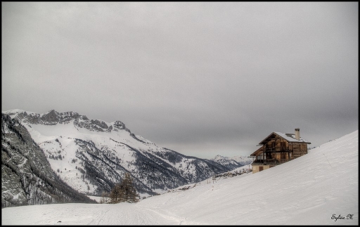 Février 2012  - sylve
Fevrier 2012 - sylve
