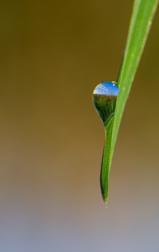 Juillet 2012 - neosilencers 
Juillet 2012 - neosilencers 
