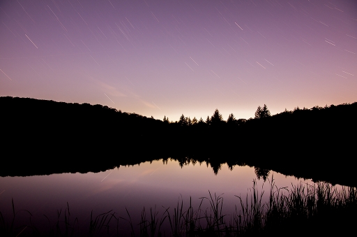 Aout 2012 - neosilencers
Aout 2012 - neosilencers
