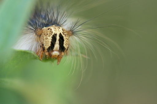 Septembre 2012 - Netgabe
Septembre 2012 - Netgabe
