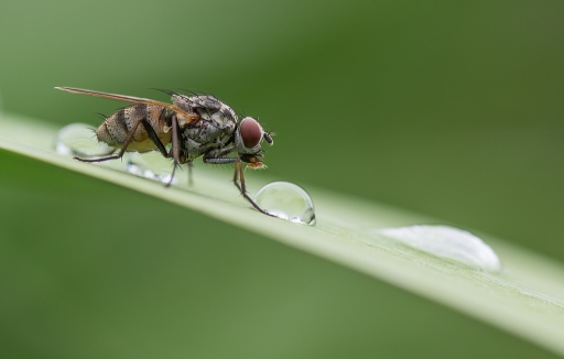 Septembre 2012 - neosilencers
Septembre 2012 - neosilencers
